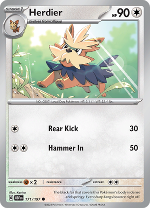 Pokémon TCG SV3: Obsidian Flames 171/197 Herdier Common Ungraded